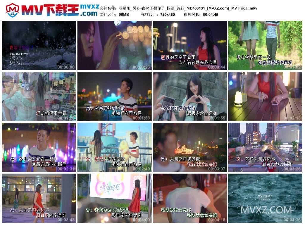 杨耀阳_吴莎-夜深了想你了_国语_流行_MD403131